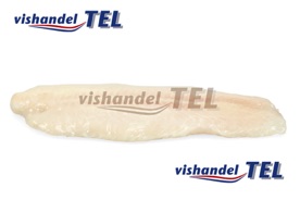 pangasius filet.jpg